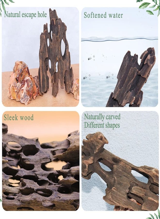 Hamiledyi Natural Driftwood for Aquarium Decor Sinkable Reptile Wood Branches Fish Tank Log Habitat Decorations Terrarium Ornament Assorted - Image 3